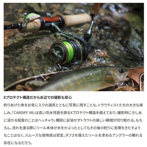23カーディフXR